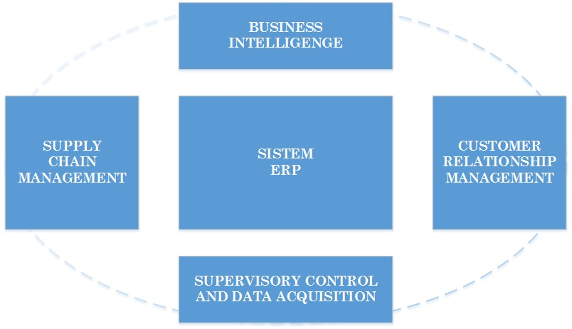 laboratoare:laborator00a:02enterprise_resource_planning_overview.png