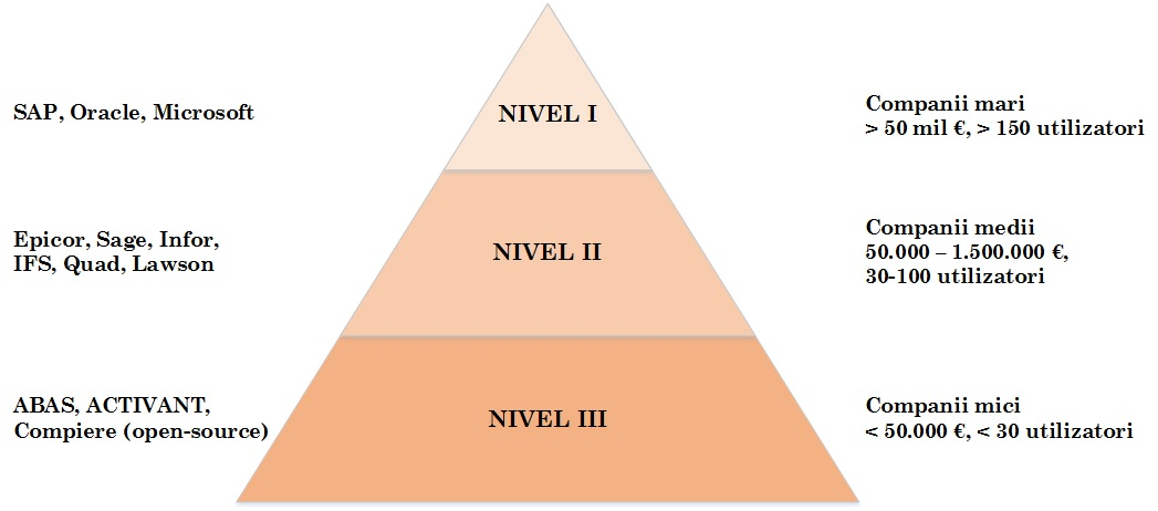 laboratoare:laborator00a:04enterprise_resource_planning_taxonomy.png